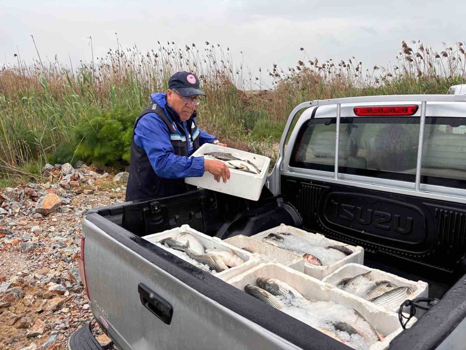 Milas'ta kaçak avcılığa geçit yok: 80 kilo kefal balığına el konuldu