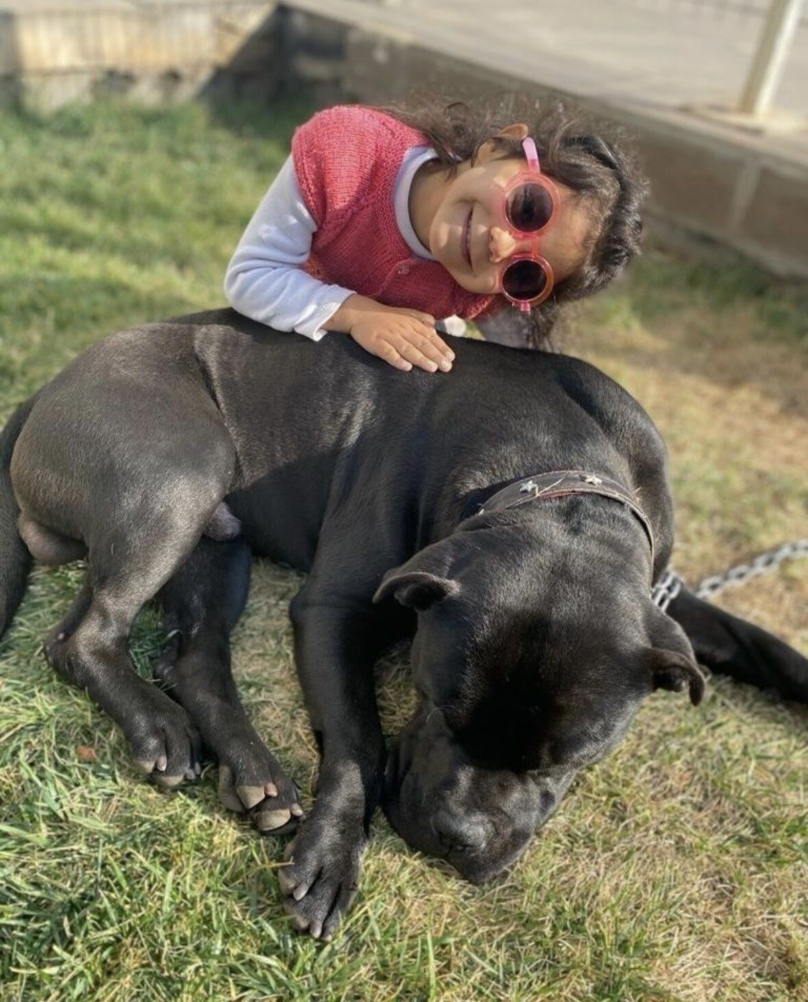 Gaziantep'te 4 yaşındaki Asiye Ateş'e pitbull saldırısı davasında karar