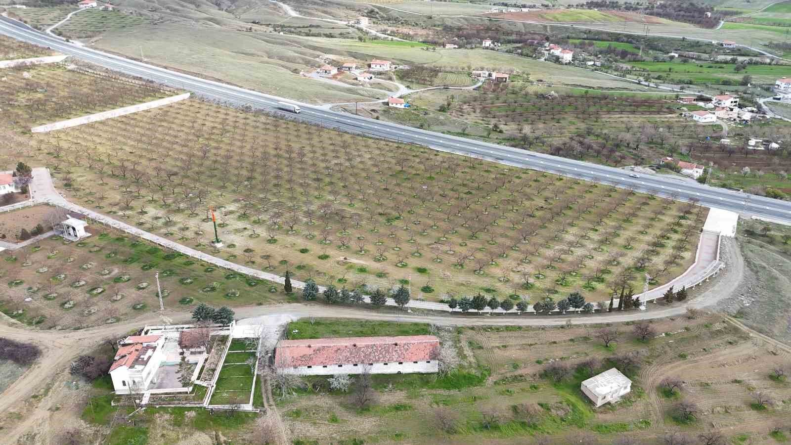 Malatya'da kayısı üreticileri zirai dona karşı önlem alıyor