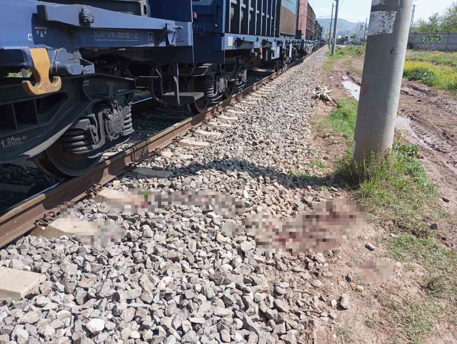 Osmaniye'de yük treninin çarptığı kişi yaralandı