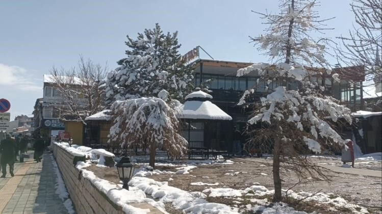 Özalp'ta nisan karı etkili oldu