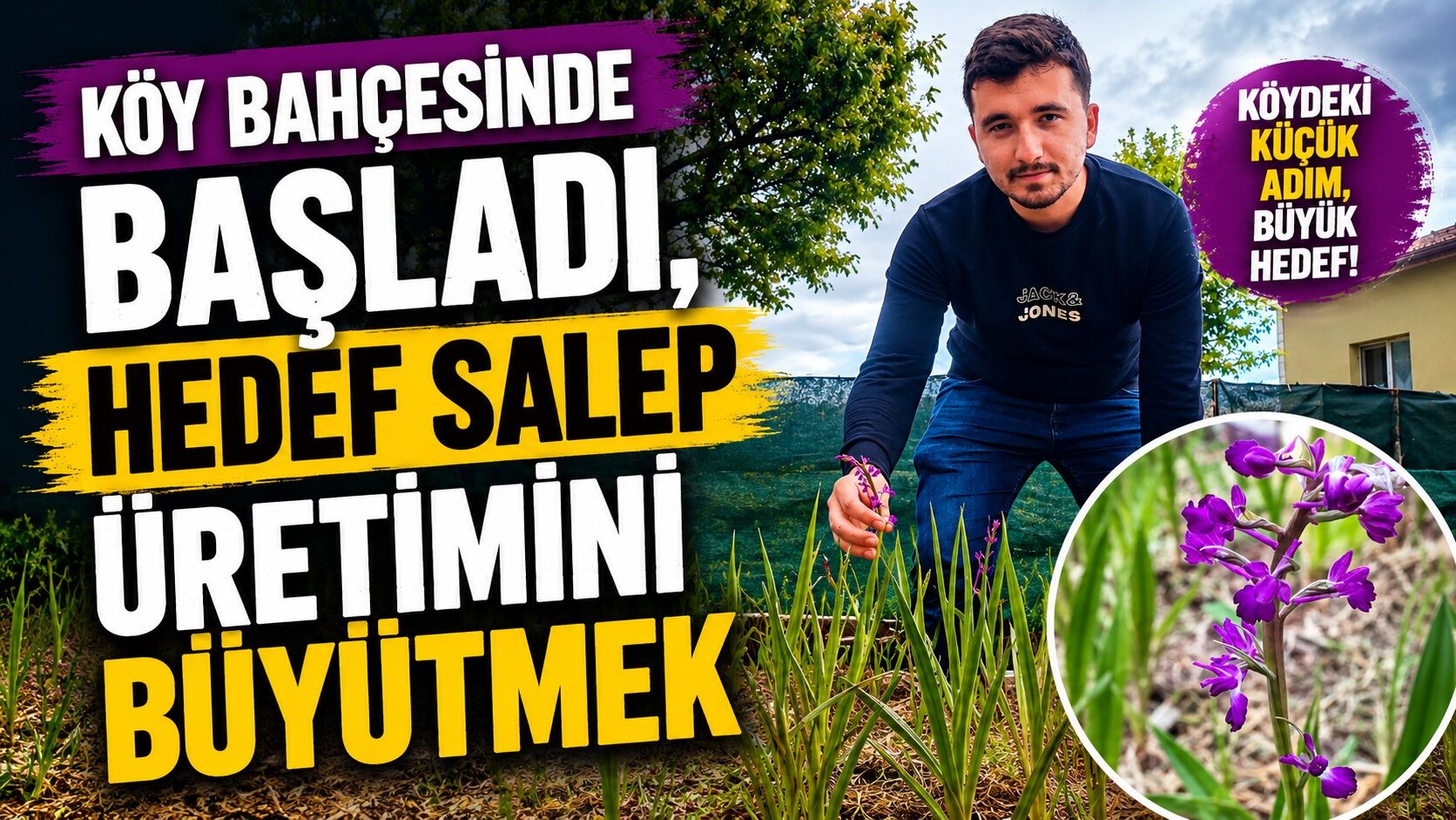 Köy bahçesinde başladı, hedef salep üretimini büyütmek