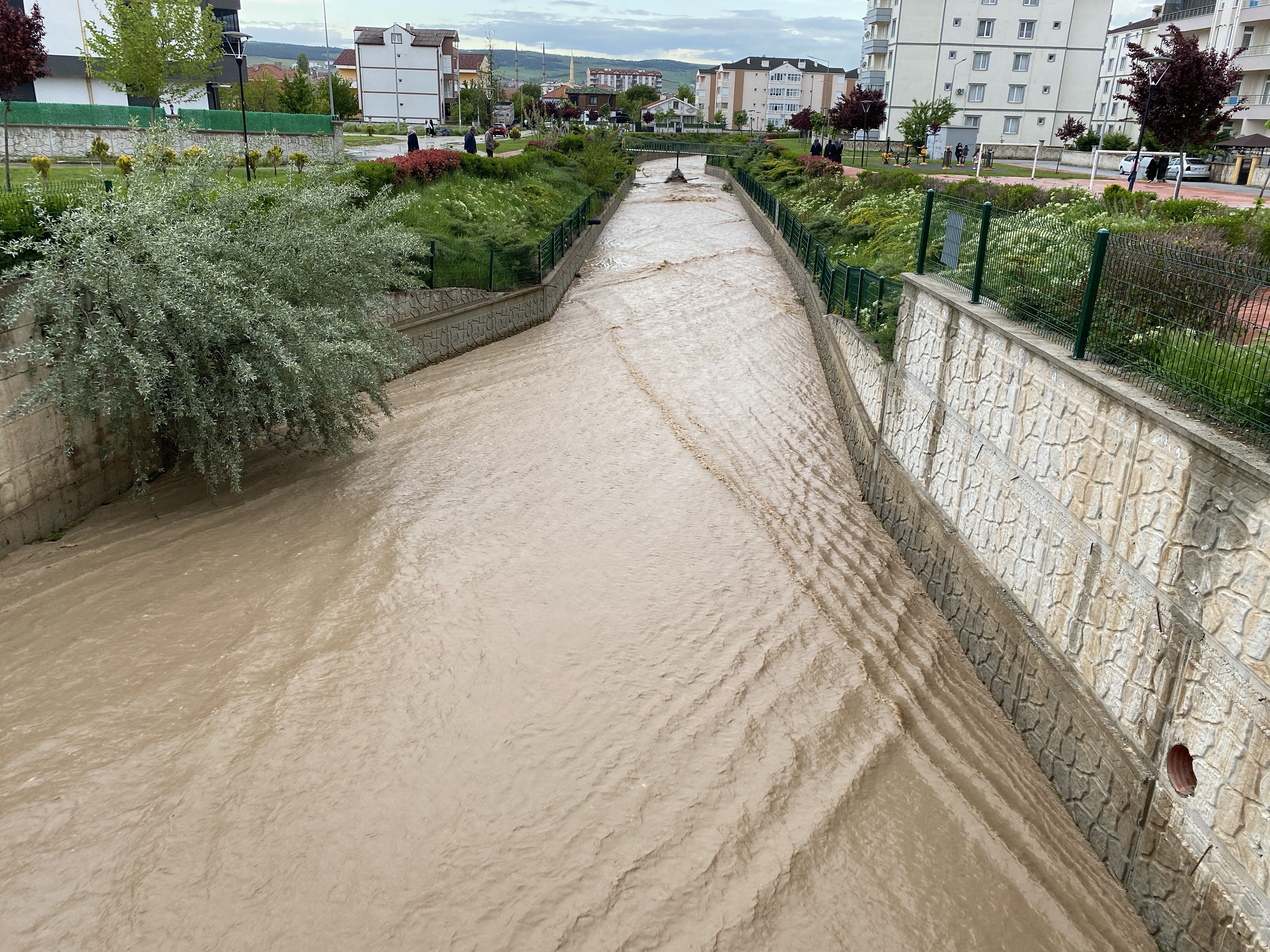 Kuruyan Delibaş Deresi 25 Yıl Sonra Yeniden Coştu (1)