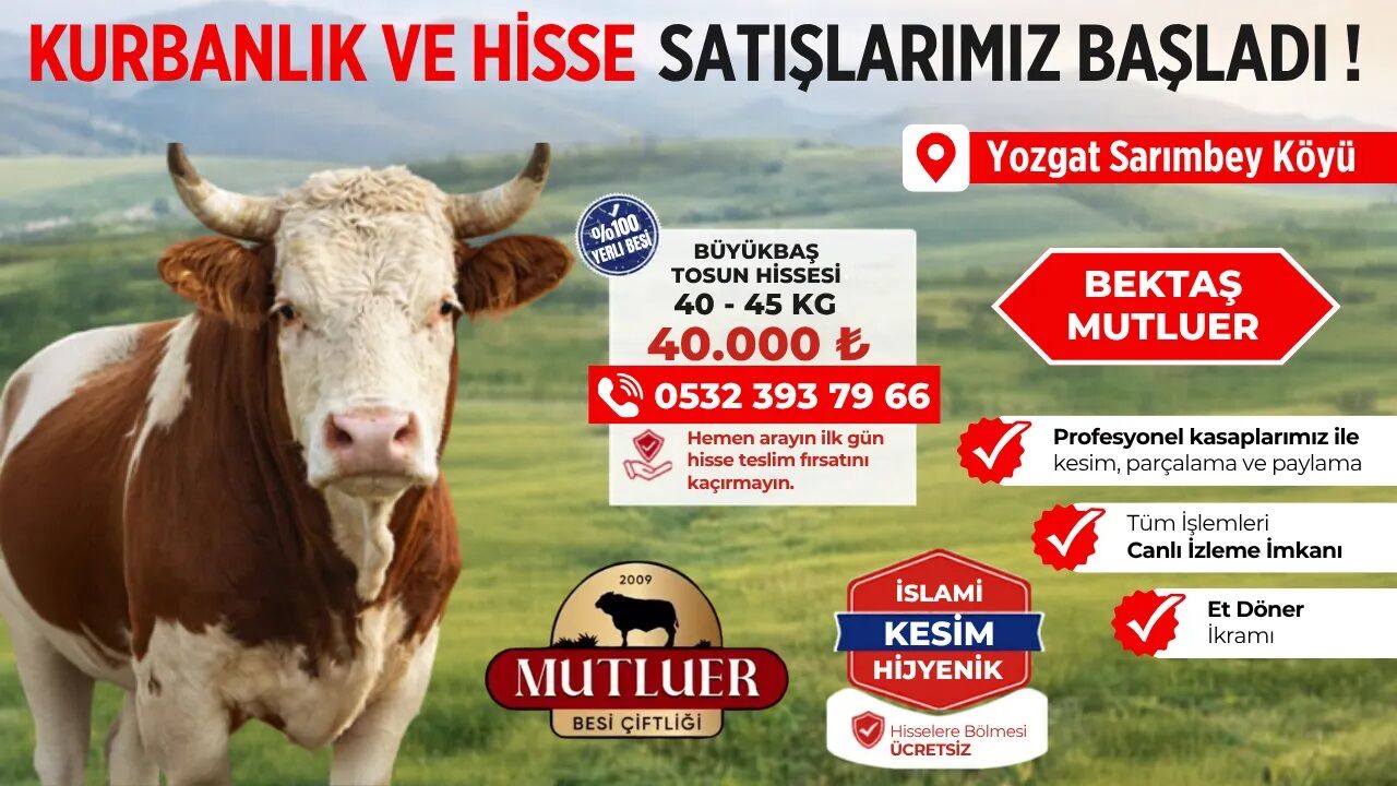 reklam77_desktop