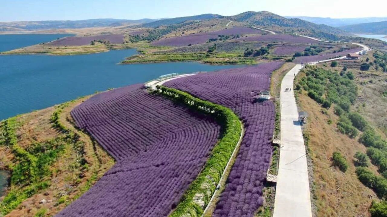 Yozgat Çekerek'te Turizm Atağı Lavanta Adası'nda Tekne Turu Dönemi Başlıyor (2)