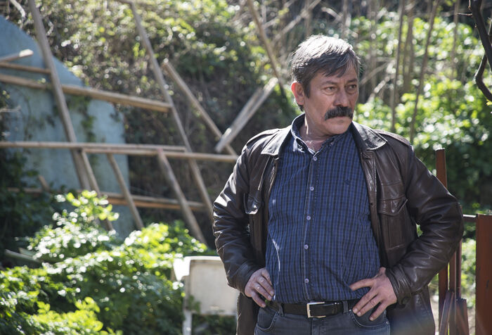 Yükselarıcı