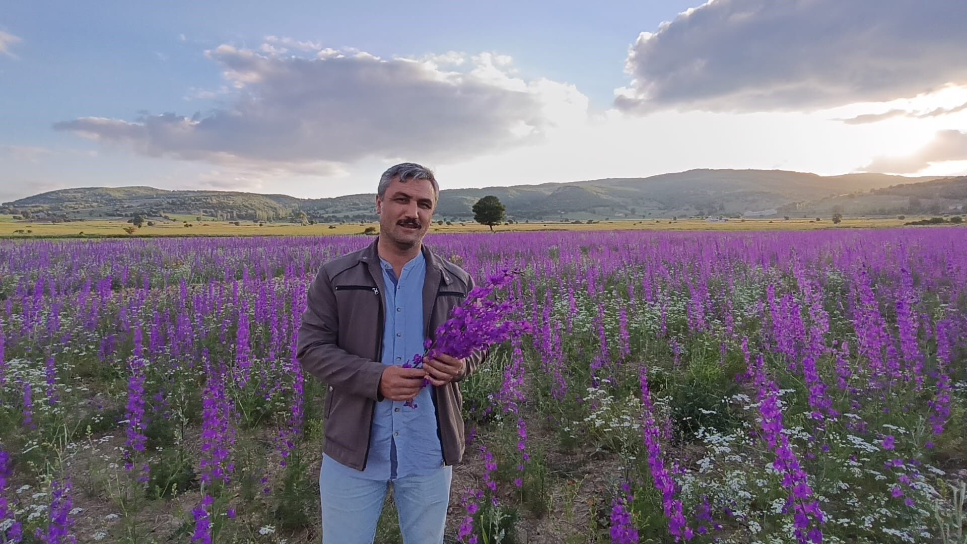 Tarlalar Mora Boyandı (1)