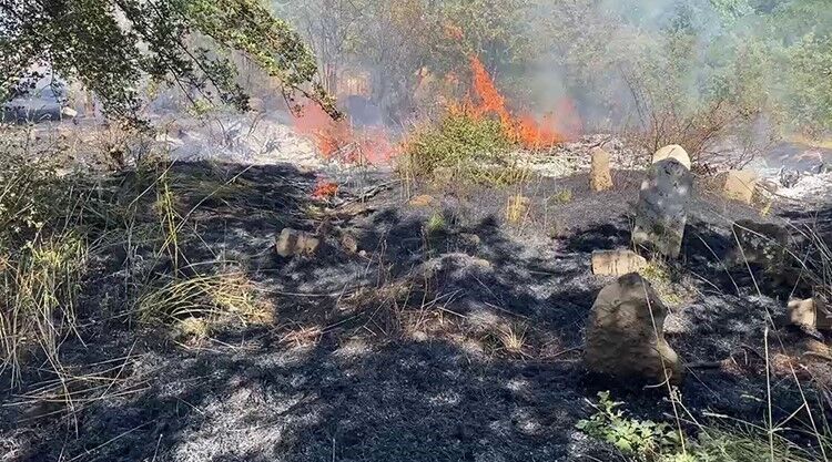 Bitlis'te peş peşe çıkan yangınlar paniğe neden oldu