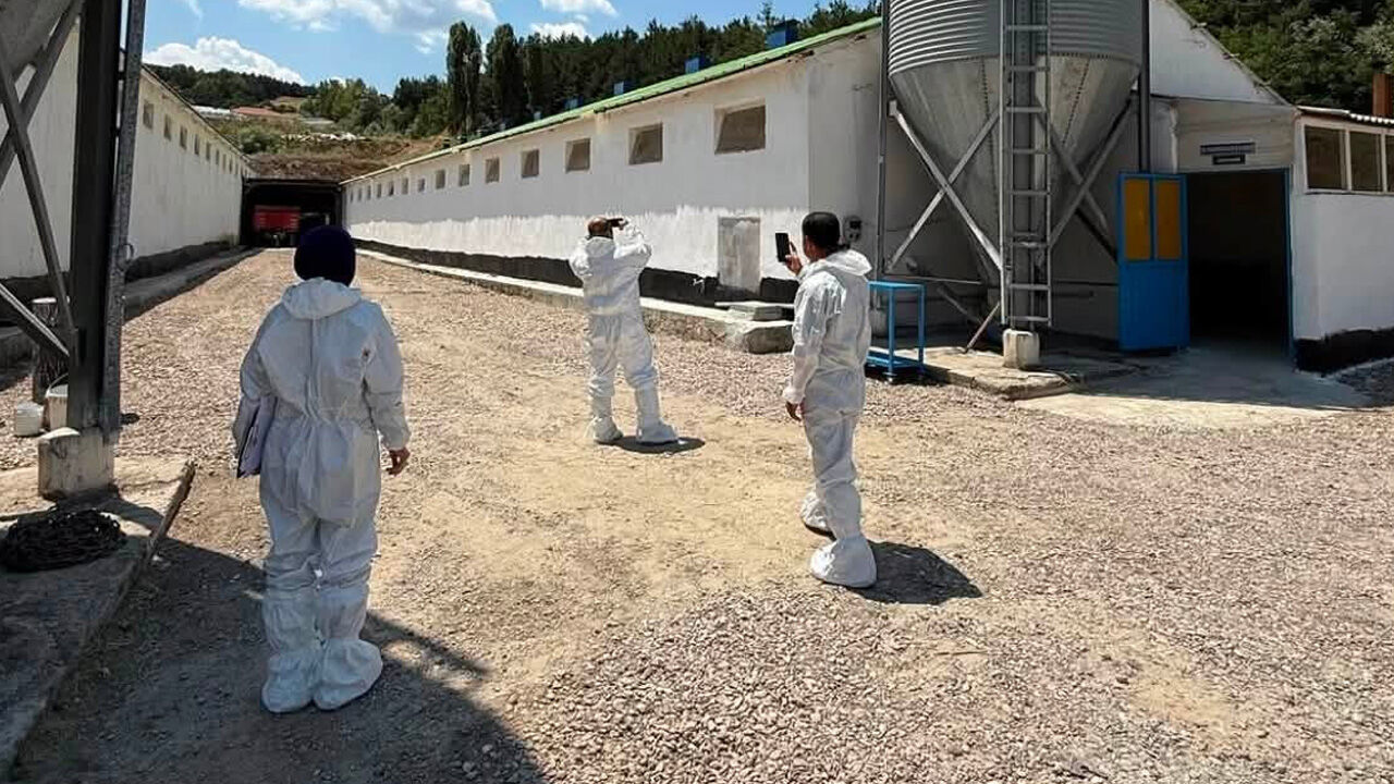 Yozgat'ta Kanatlıya Sıkı Denetim (1)