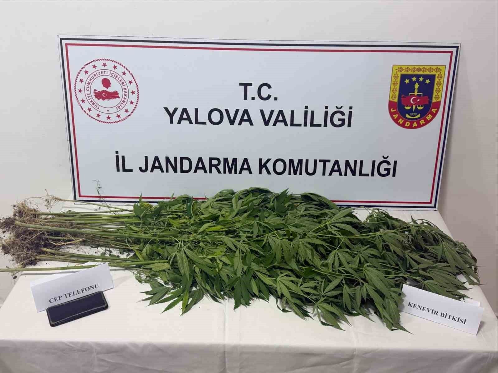 Yalova'da uyuşturucu operasyonu: 3 gözaltı
