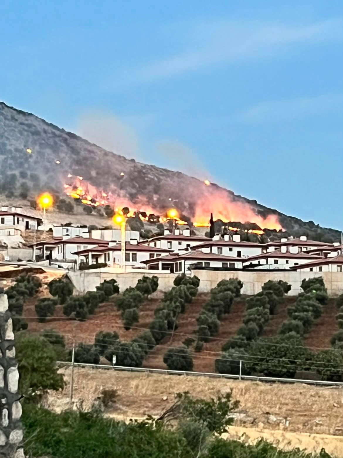Adıyaman'da ormanlık alanda korkutan yangın