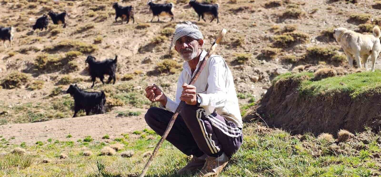 Bursa'dan köyüne döndü, hayvancılıkla geçimini sağlıyor