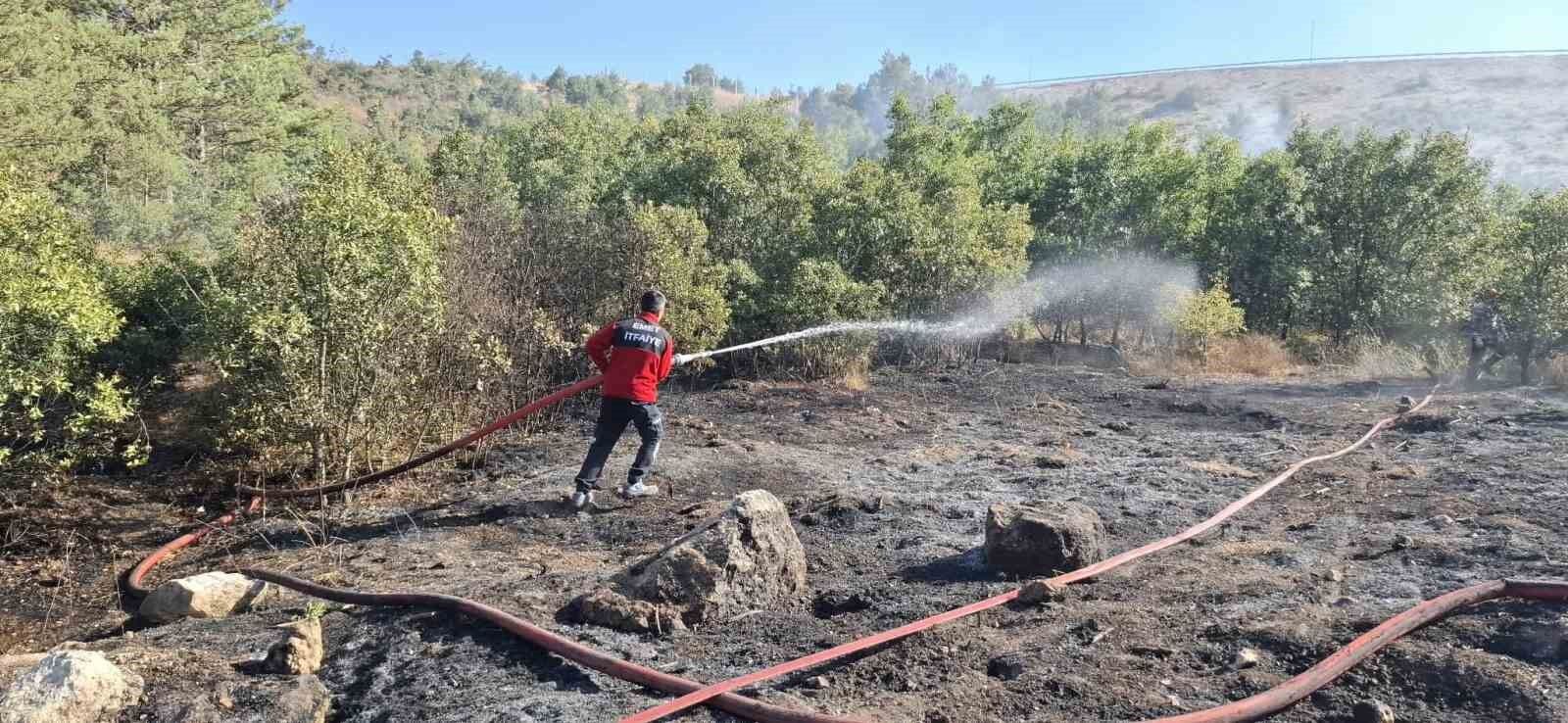 Emet'te dağlık alanda orman yangını