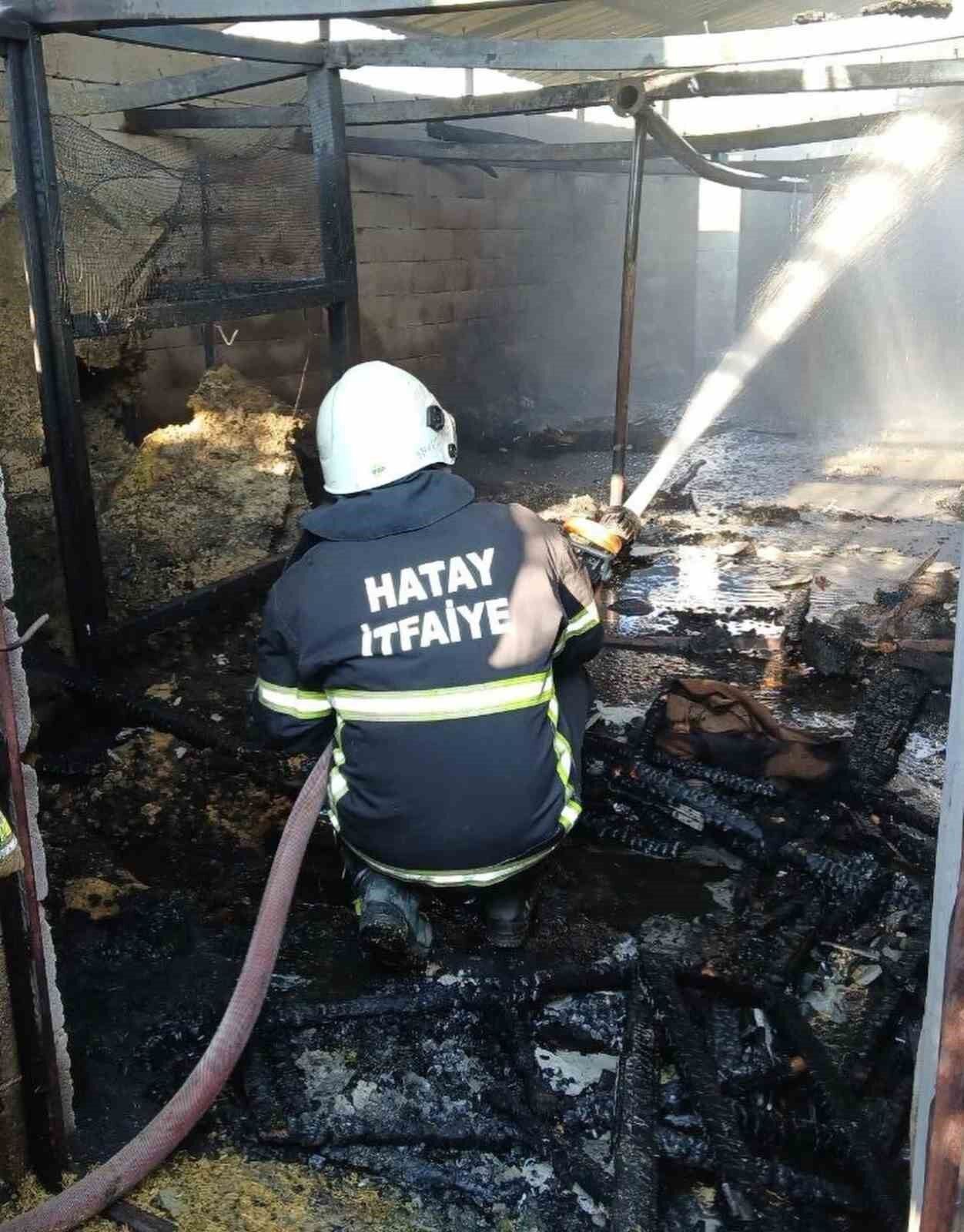 Hassa'da ev ve ahır yandı