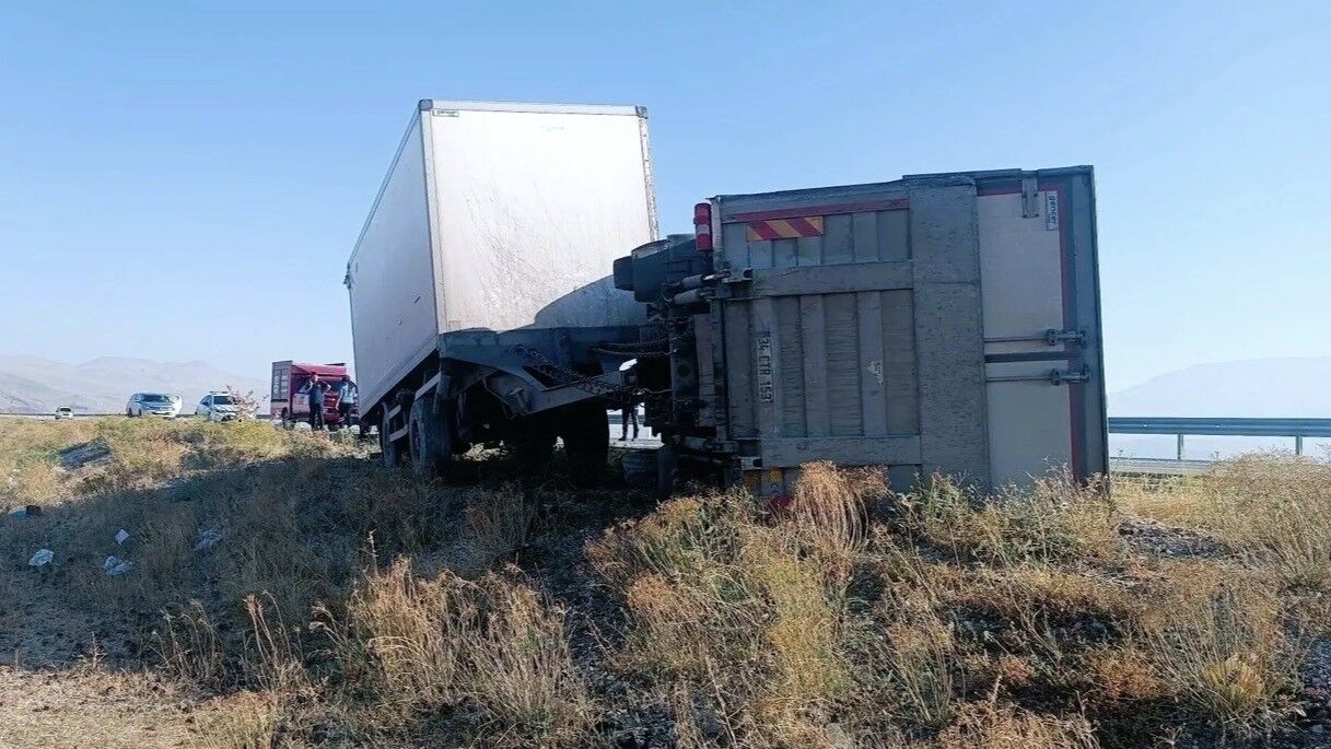 Iğdır'da eşeğe çarpmamak için manevra yapan kamyon kaza yaptı
