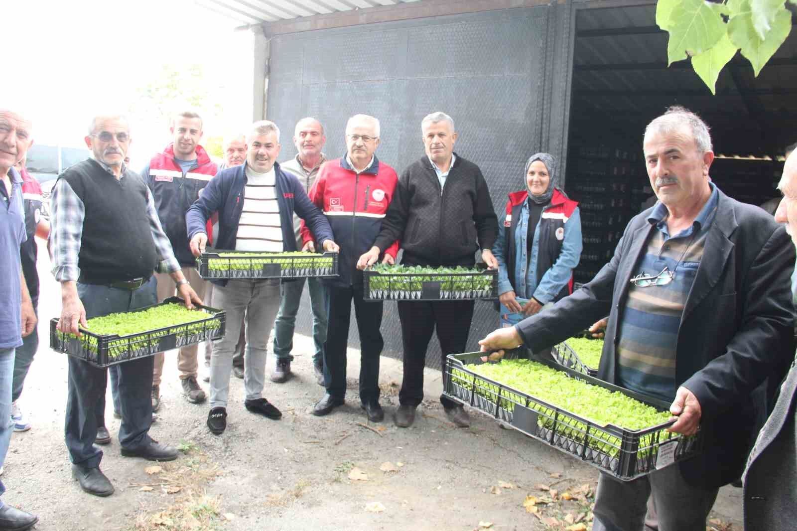 İnebolu'da 65 çiftçiye 88 bin 400 adet sebze fidesi dağıtıldı