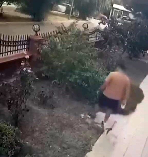 İzmir'de köpeğini gezdiren şahsın yavrulu kediye tekmeli saldırısı kamerada