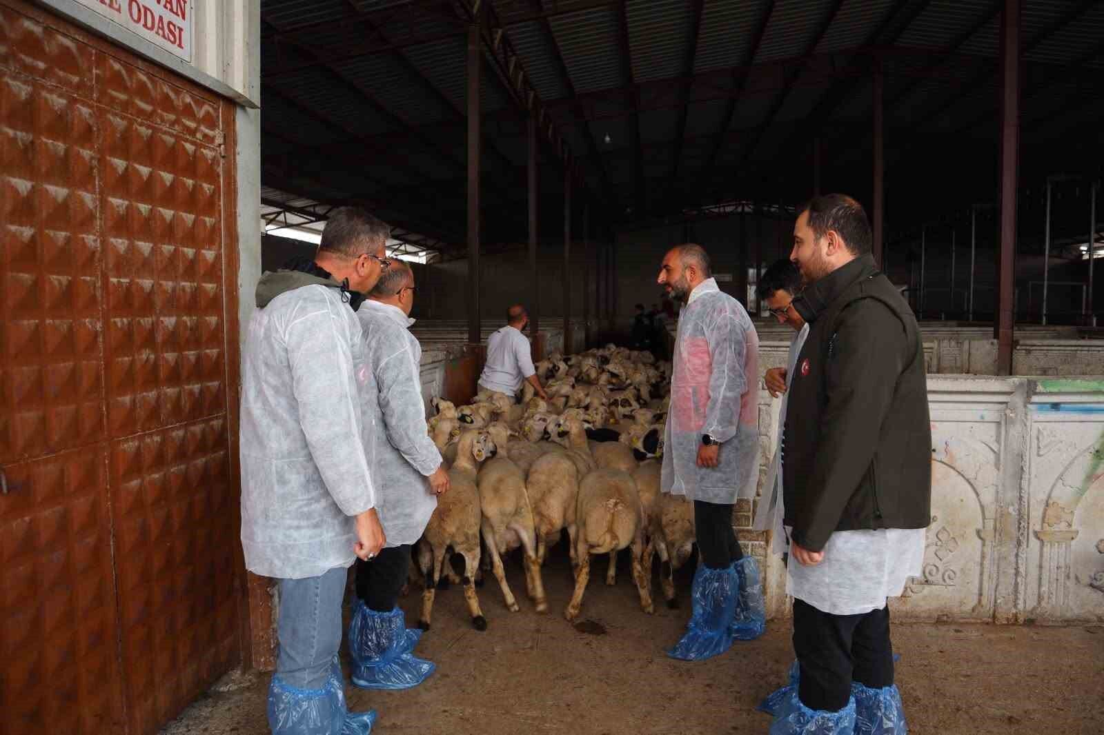 Karapınar'da kesimhanelere denetim