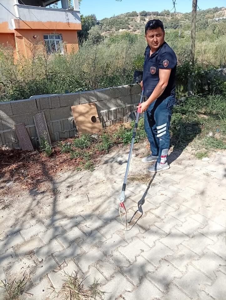 Samandağ'da yerleşim yerinde görülen yılan yakalanarak doğaya bırakıldı