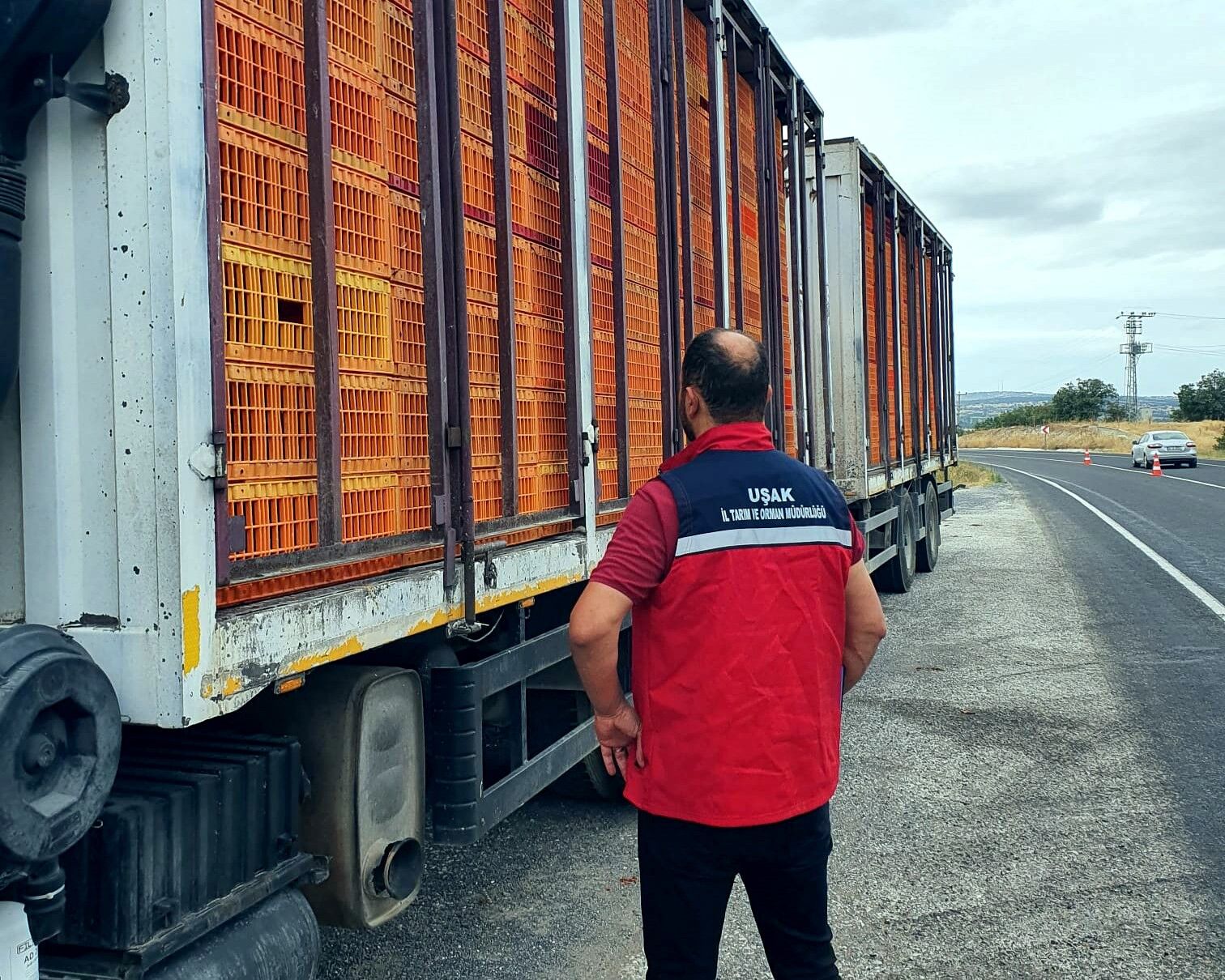 Uşak'ta hayvan hastalıklarına karşı yol kontrol ve denetimler aralıksız devam ediyor
