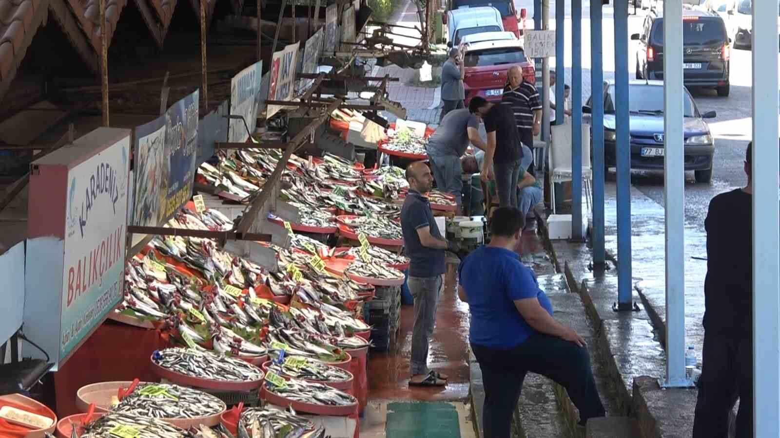Yalova Balık Hali'nde fiyatlar düşüşe geçti