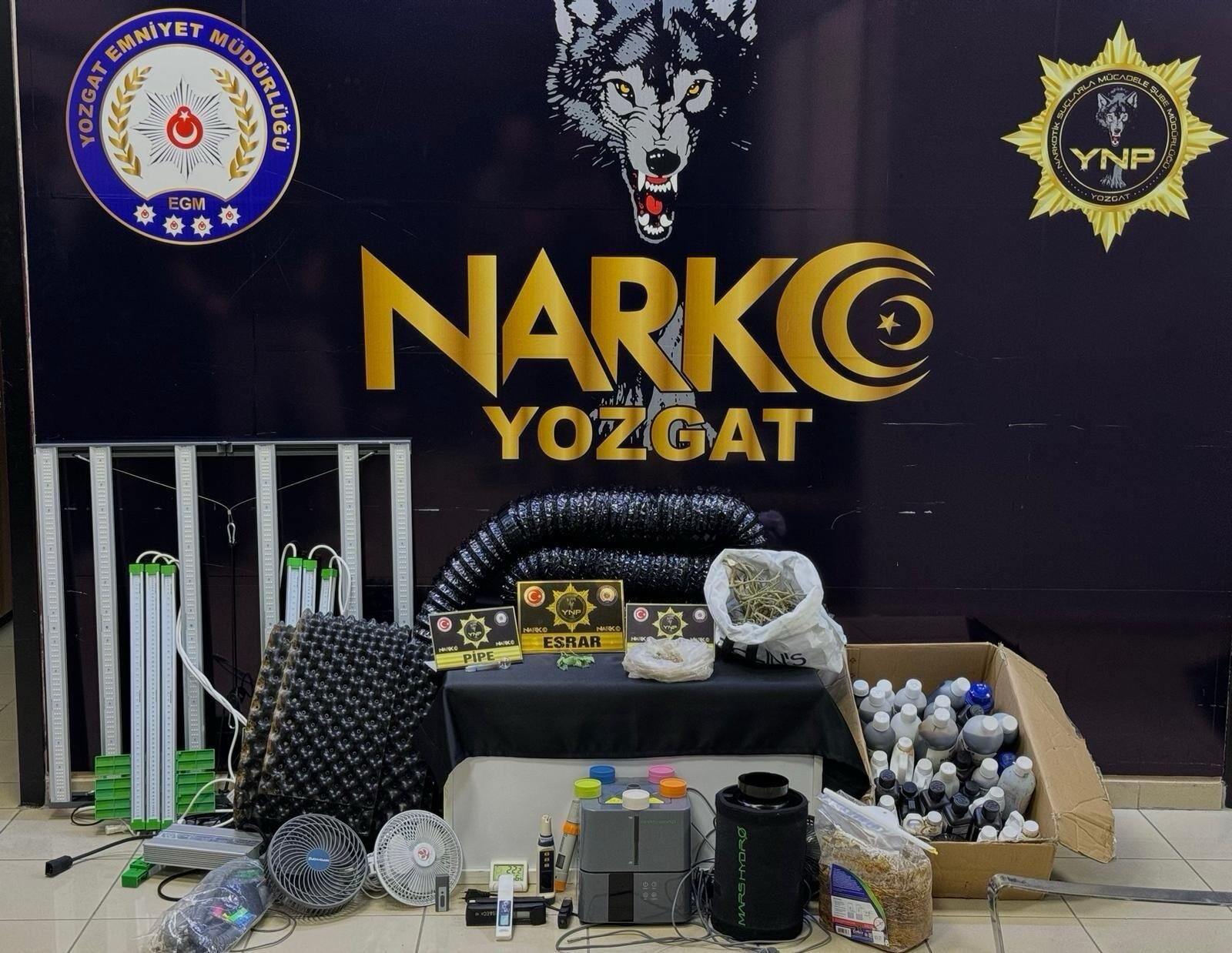 Yozgat'ta Evinde Kenevir Yetiştiren Şüpheliye Gözaltı