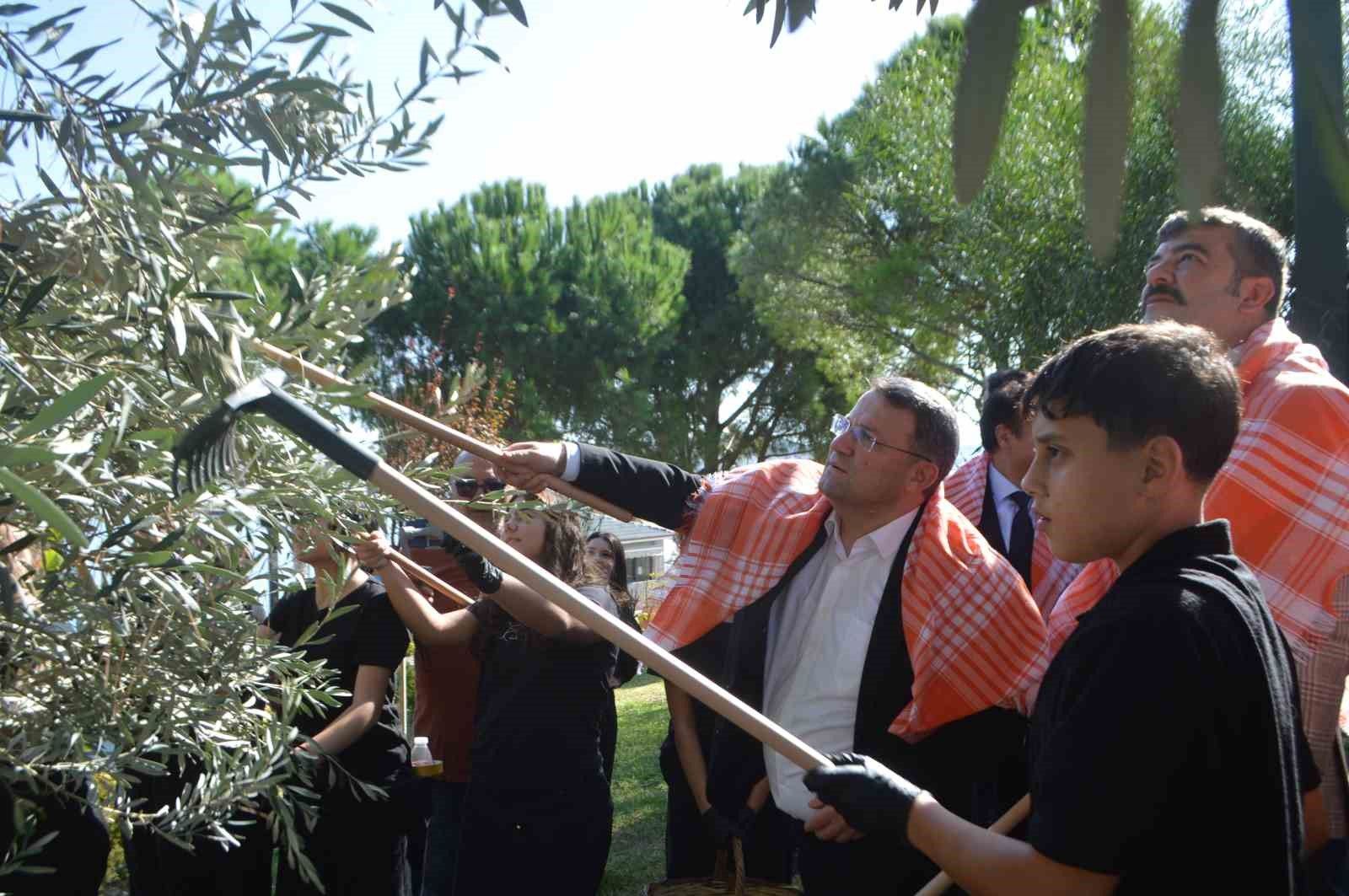 Ayvalık'ta zeytinin bin yıllık hikâyesini genç eller yazdı