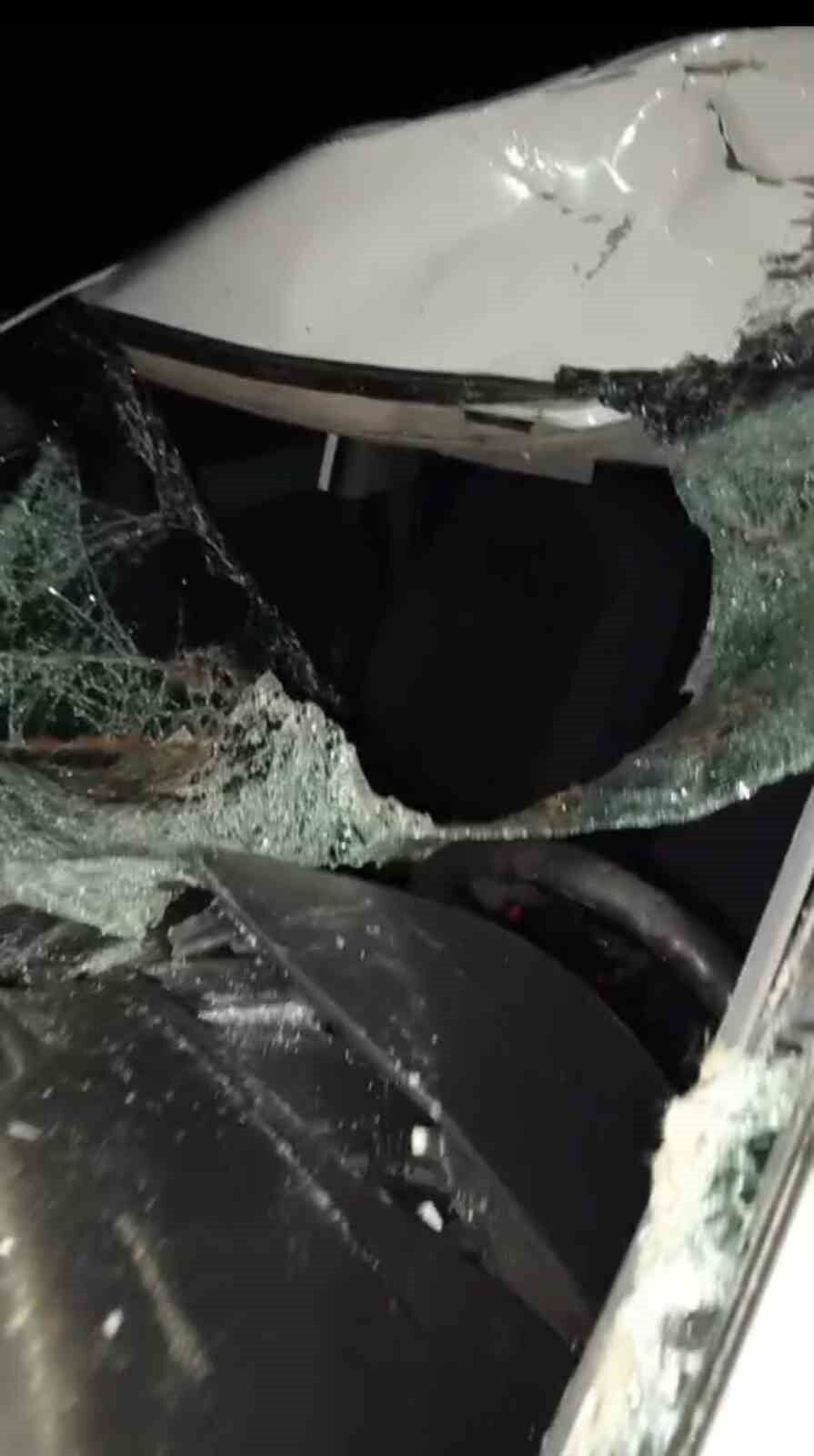 Bingöl'de otomobil ineğe çarptı: 4 yaralı