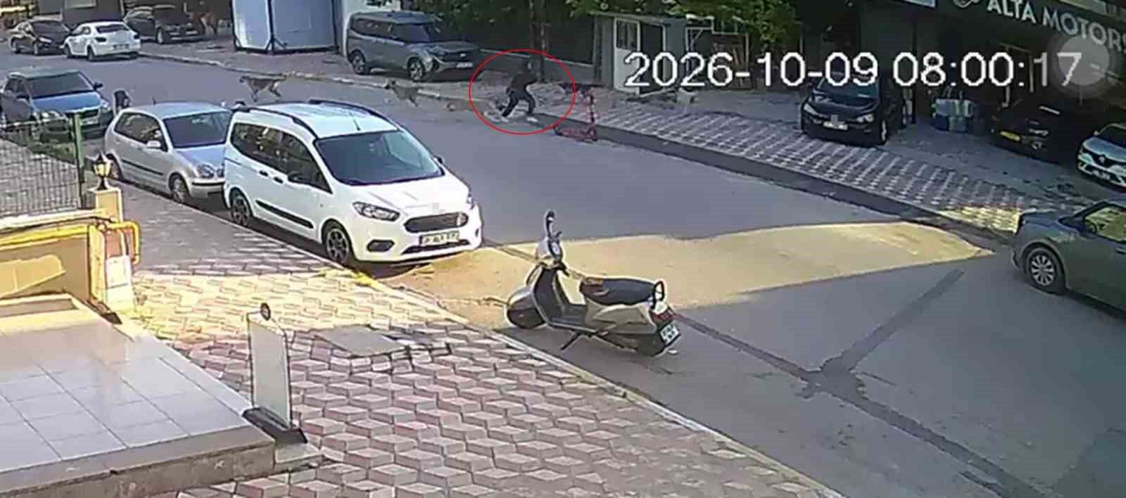 Okul yolunda sokak köpeklerinin saldırısına uğrayan kız çocuğu yaralandı