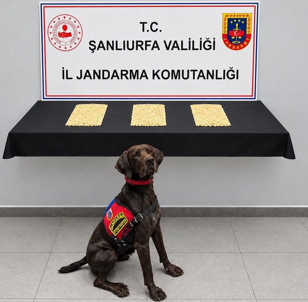 Şanlıurfa'da 2 bin 970 Captagon hap ele geçirildi