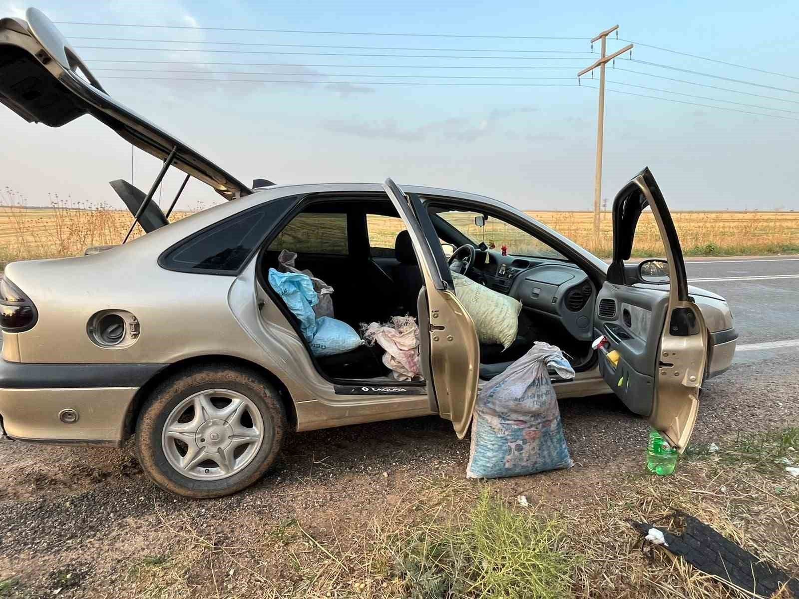 Şanlıurfa'da 4 fıstık hırsızı suçüstü yakalandı