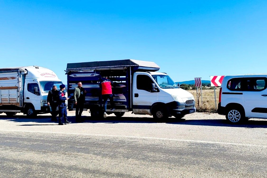 Uşak'ta hayvan sağlığı için yol kontrolleri sürüyor